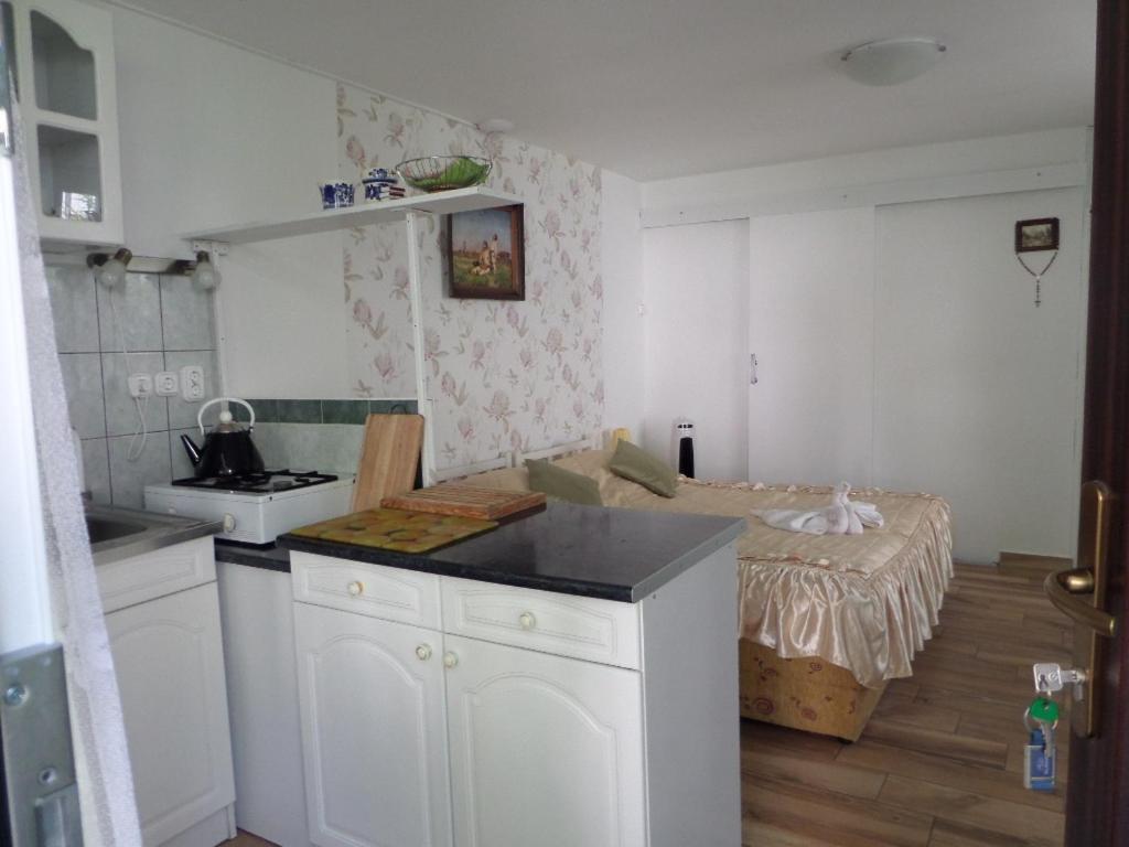 Bori Apartmanok Hajdúszoboszló Kültér fotó